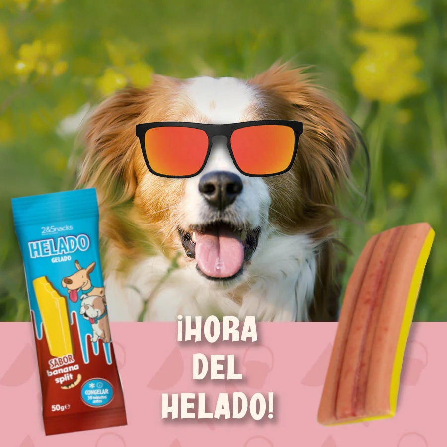 2&Snacks Gelado de Banana Split para cães - Image 2