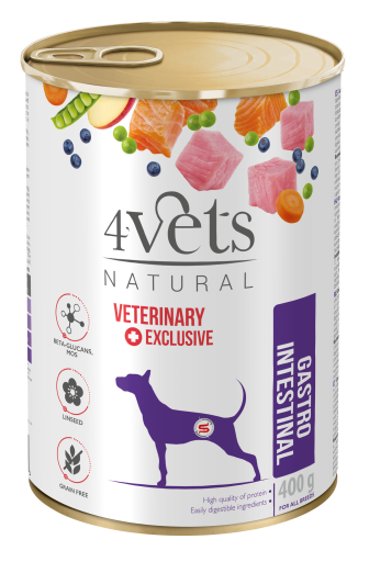 4VETS GASTRO INTESTINAL 400g