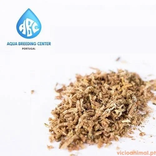 ABC Bloodworms