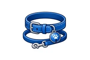 Acessórios para Cães: Passeio, Descanso e Transporte