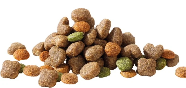 Adulto Mini com Borrego 3Kg – Happy Life - Image 2