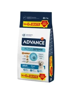Advance Adult Maxi Ração Cães Grande Porte Frango 14+3Kg