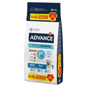 Advance Adult Maxi ração seca para cão grande 14 + 3Kg