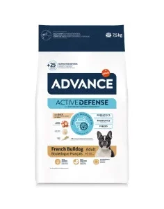 Advance Bulldog Francês Adulto