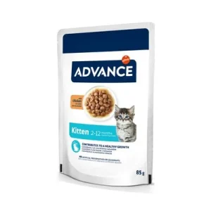 Advance Kitten com frango comida húmida para gatos