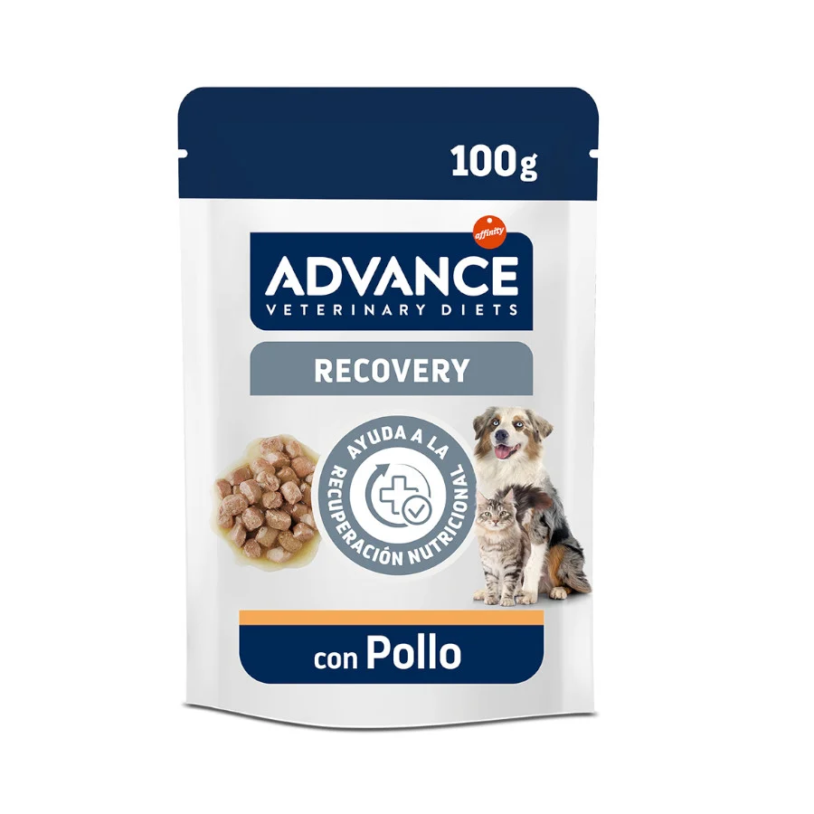 Advance Recovery Saquetas para cães e gatos