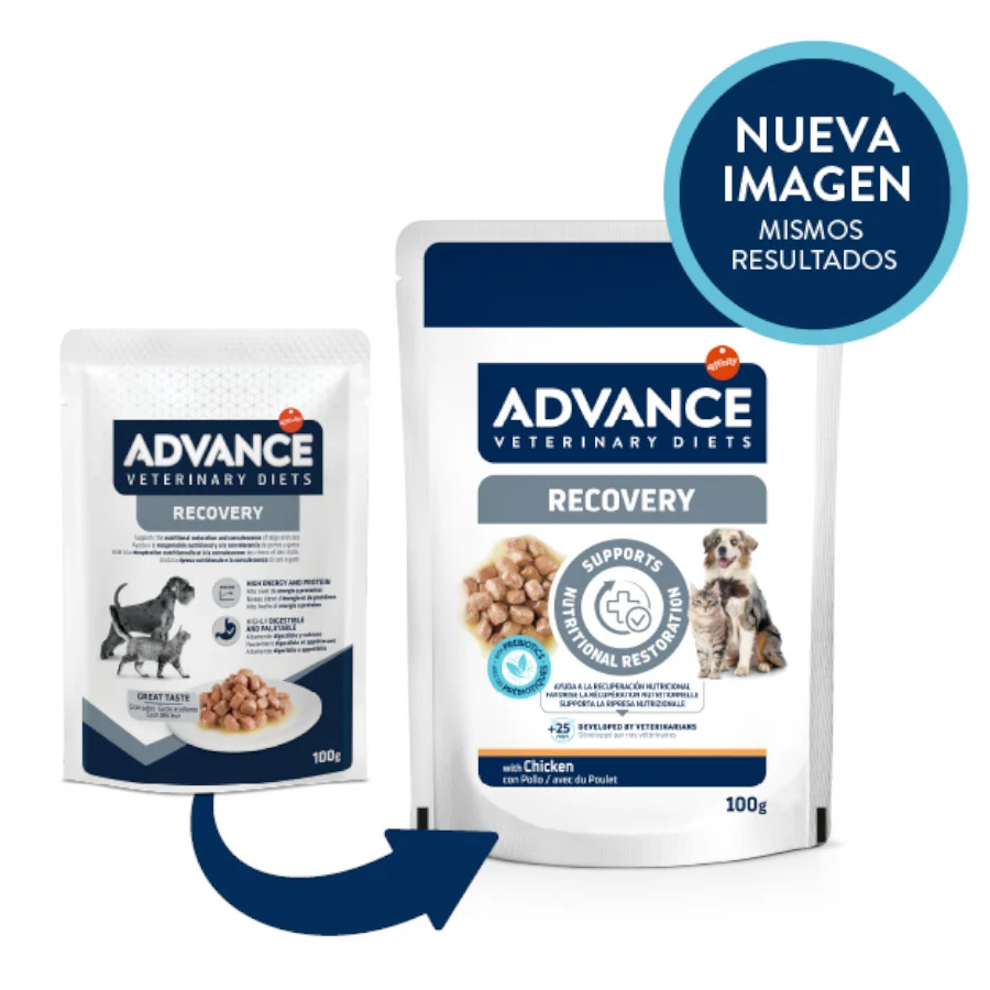 Advance Recovery Saquetas para cães e gatos - Image 2