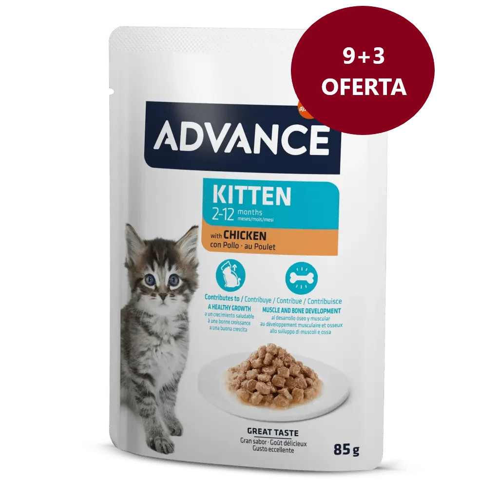 Advance Wet Kitten Frango
