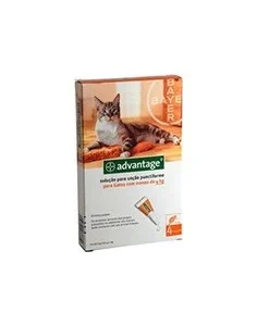 Advantage Gatos até 4kg | Desparasitante Gato