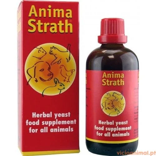 Anima Strath - Image 2