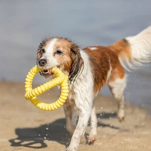 AQUA TOY – TUGGER FLUTUANTE PARA CÃO