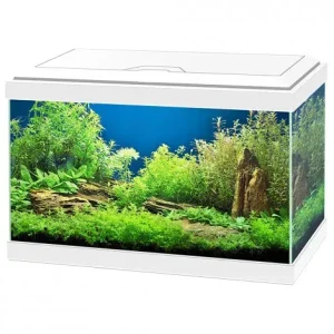 Aquário Aqua 20 LED com filtro e iluminação – Ciano – Cor do Produto: Branco