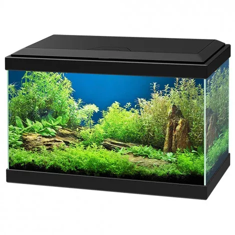 Aquário Aqua 20 LED com filtro e iluminação – Ciano – Cor do Produto: Preto