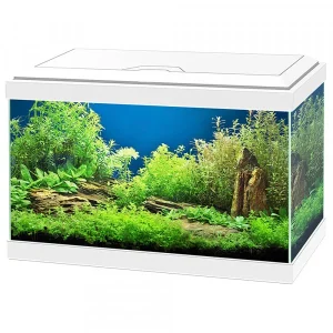 Aquário Aqua 20 LED com Filtro e Iluminação