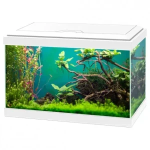 Aquário Aqua 20C com filtro – Ciano – Cor do Produto: Branco