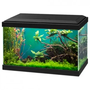 Aquário Aqua 20C com filtro – Ciano – Cor do Produto: Preto
