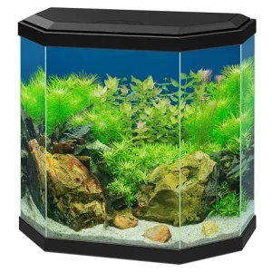 Aquário Aqua 30 LED com filtro e iluminação – Ciano – Cor do Produto: Preto
