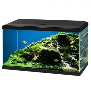 Aquário Aqua 60 LED com filtro e iluminação – Ciano – Cor do Produto: Preto
