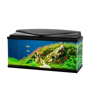 Aquário Aqua 80 LED com filtro e iluminação – Ciano – Cor do Produto: Preto
