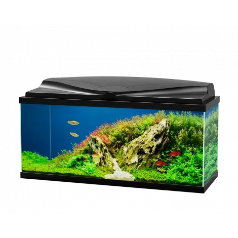Aquário Aqua 80 LED com filtro e iluminação – Ciano – Cor do Produto: Preto