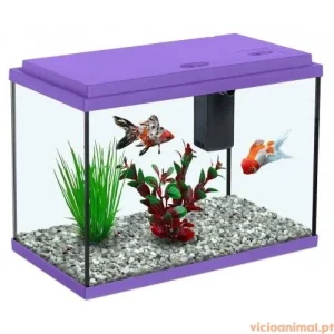 Aquário Funny Fish 35