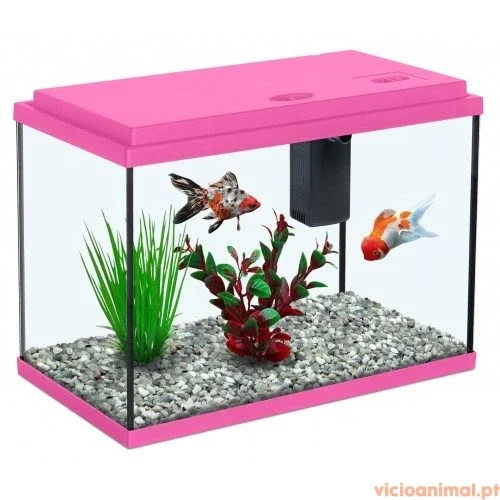 Aquário Funny Fish 35 - Image 2