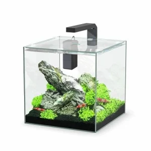 AQUATLANTIS AQUARIO KUBUS 15LT