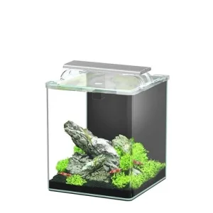 AQUATLANTIS KUBUS AQUARIO CURVE 20L BASIC