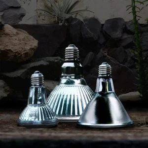 Arcadia Halogen Heat Lamp
