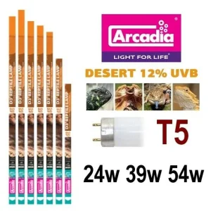 Arcadia T5 D3 12% Reptile Lamp