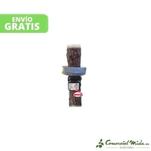 Armadilha ORUTRAP para Captura de Lagartas Processionárias de Pinus