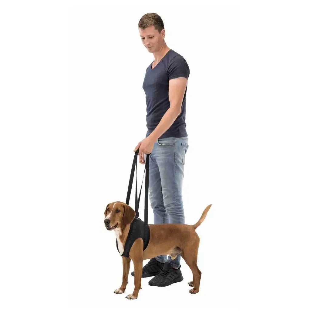 ARNÊS DE REABILITAÇÃO (APOIO PARA CAMINHAR) - Image 2