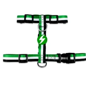 ARNÊS STRIPES³ GREEN & BLACK