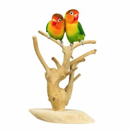 BACK ZOO NATURE JAVA PLAYSTAND MINI - Image 2