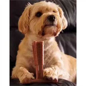 Bamboodles ‘T-Bone’ Bamboo Beef