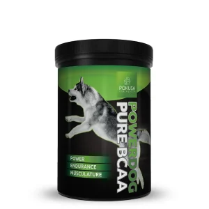 BCAA para C茫es Desportistas 鈥?Recupera莽茫o Muscular e Suporte ao Desempenho 鈥?Amino谩cidos Essenciais para C茫es Ativos 鈥?BCAA Puro 鈥?PowerDog