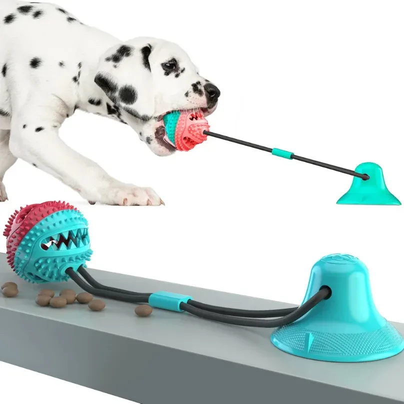 Bola com Ventosa e Dispensador de Petiscos — Cão