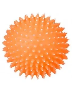 Bolas para Cães