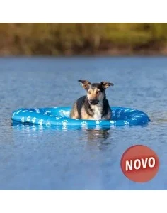 Bote Insuflável