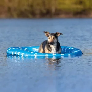 Bote Insuflável para cães Trixie