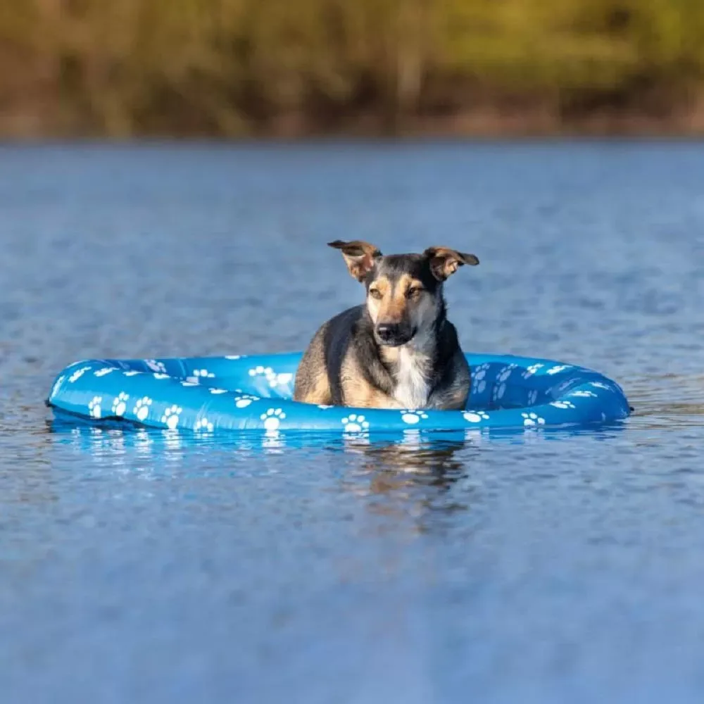 Bote Insuflável para cães Trixie