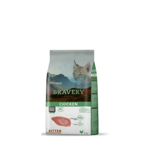 Bravery Kitten Frango