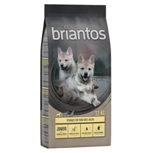 Briantos Junior frango e batata - SEM CEREAIS