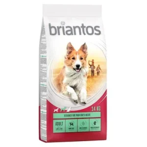 Briantos ração para cães - Pack económico
