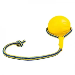 Brinquedo para cães Duvo+ Bola Flutuante Com Corda