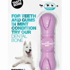 Brinquedo para cães Large Raspberry Mint Bone