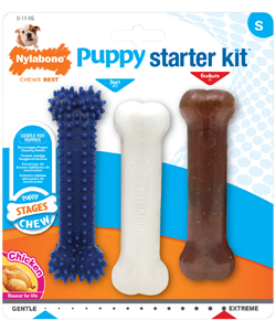 Brinquedo para cães Nylabone Puppy Teething Chew Starter Kit – Small