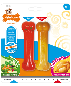 Brinquedo para cães Nylabone Puppy Twin Pack Veggies and Chicken – Small