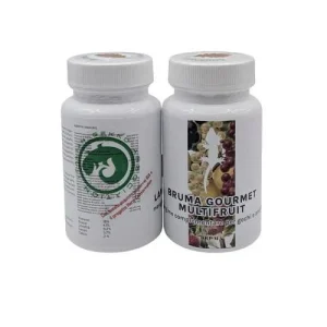 BRUMA GOURMET MULTIFRUIT 60GR