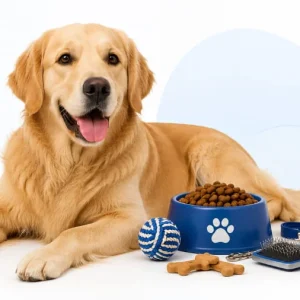 Cães